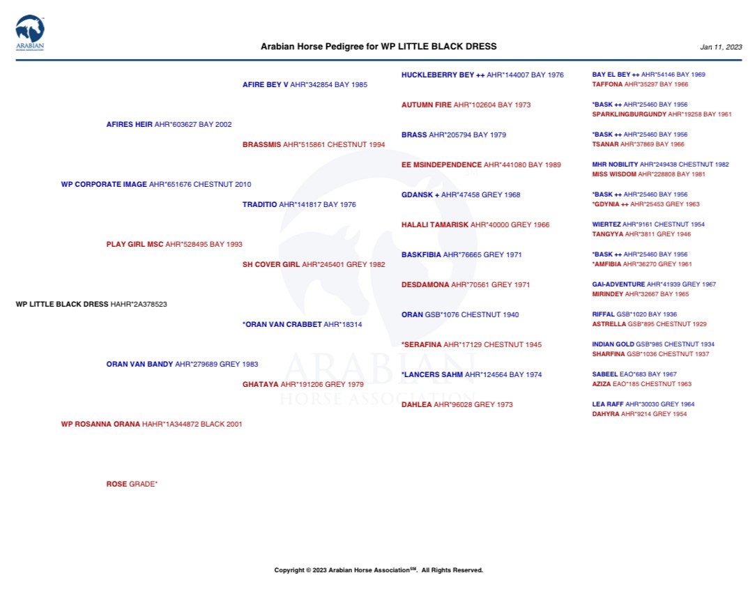 WP Corporate Equality Pedigree
