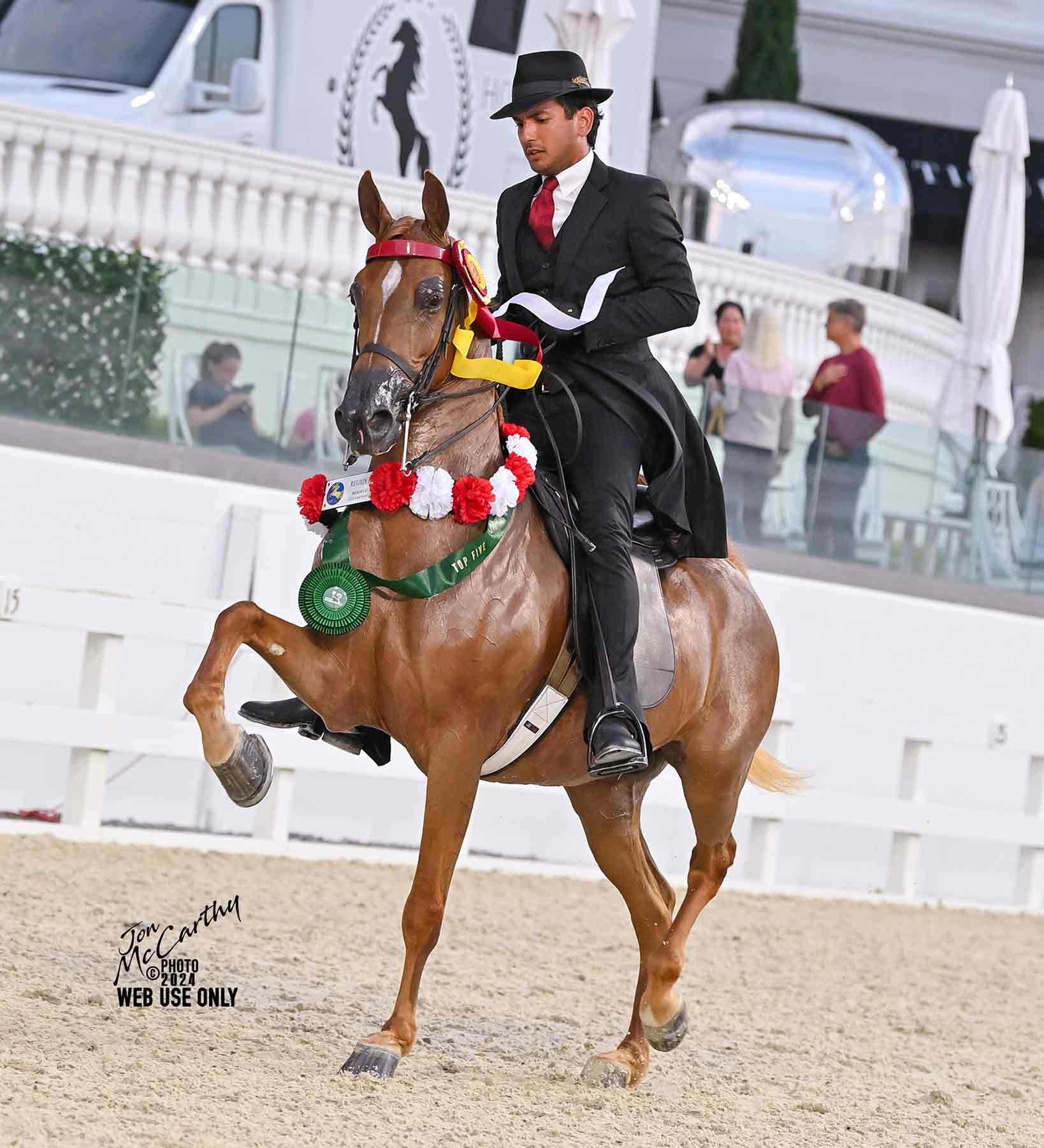 WP Corporate Flair - 2024 Region 12 Reserve CH HA English Pl Jr Horse