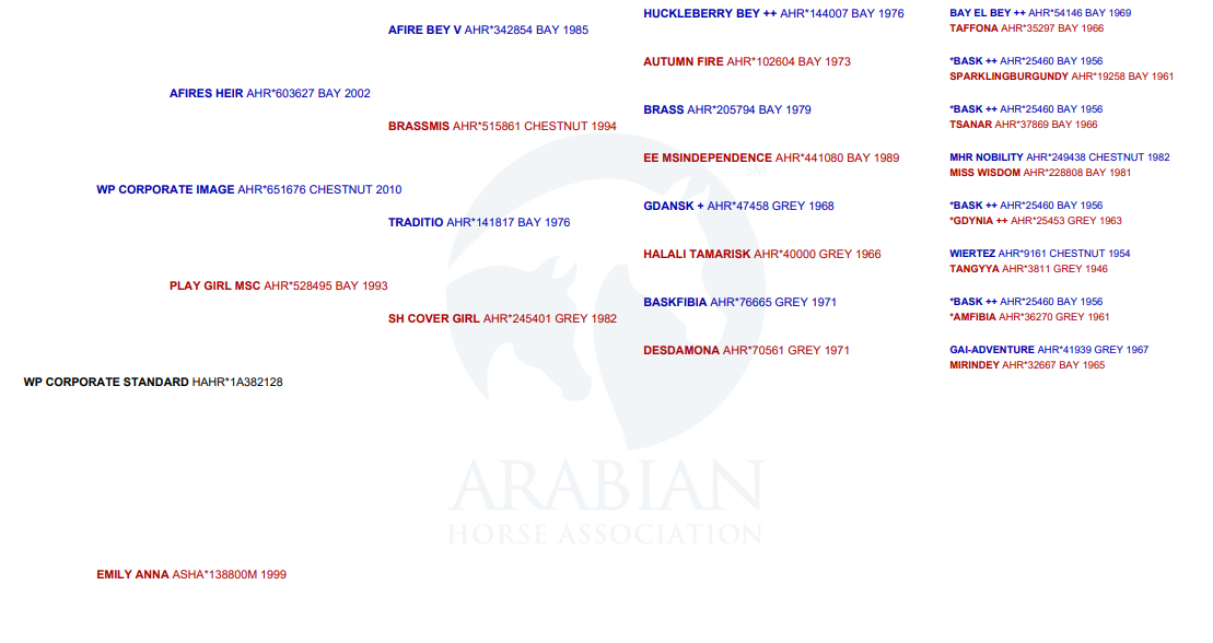 WP Corporate Standard - Pedigree
