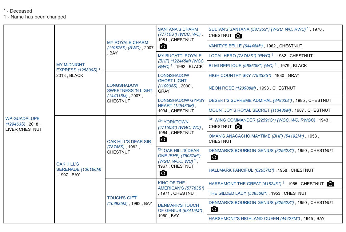 WP Guadalupe - Pedigree